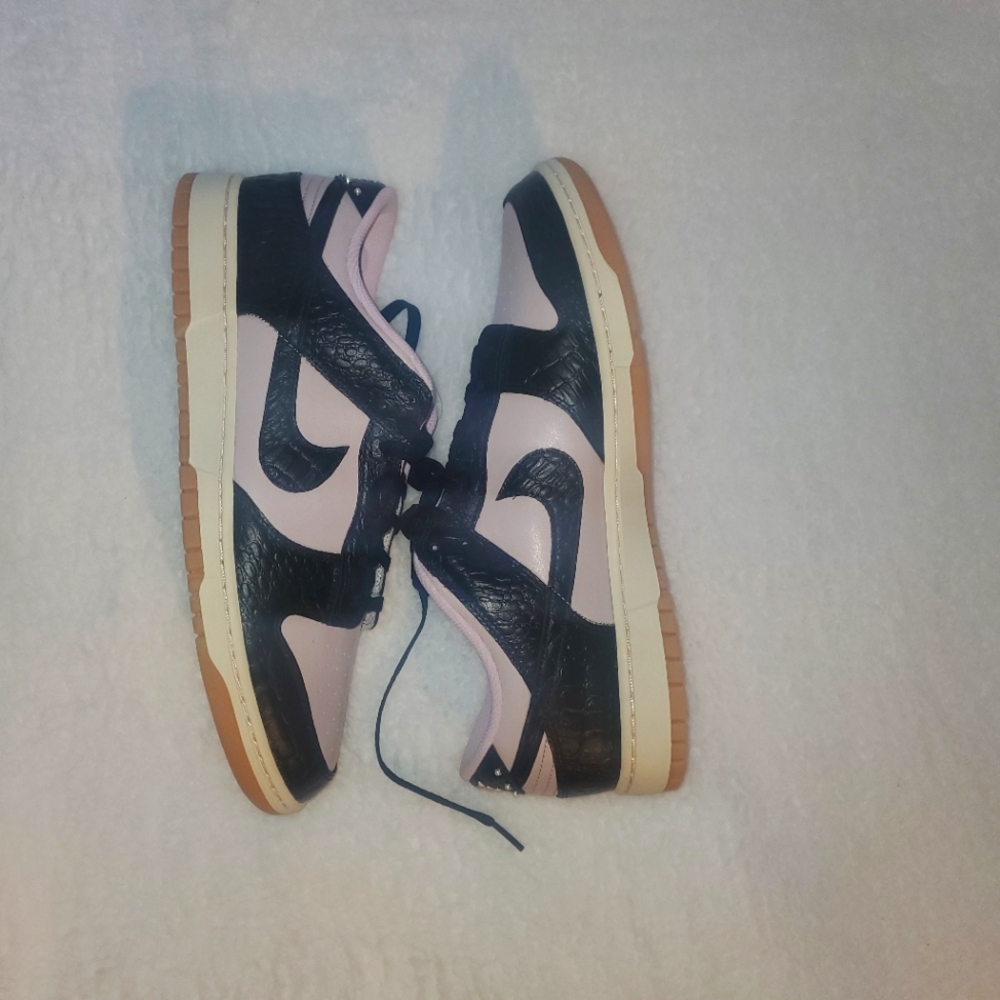 Nike dunk retro